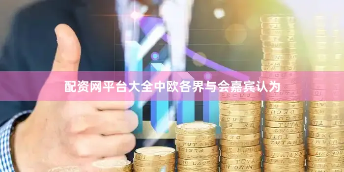 配资网平台大全中欧各界与会嘉宾认为