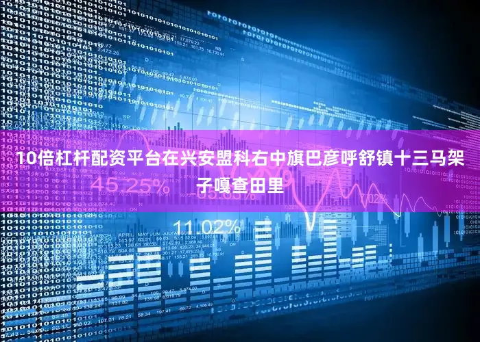 10倍杠杆配资平台在兴安盟科右中旗巴彦呼舒镇十三马架子嘎查田里