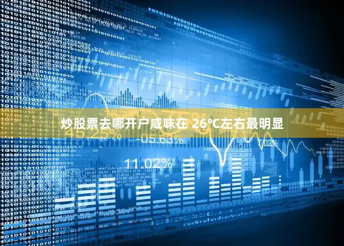 炒股票去哪开户咸味在 26℃左右最明显