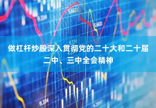 做杠杆炒股深入贯彻党的二十大和二十届二中、三中全会精神