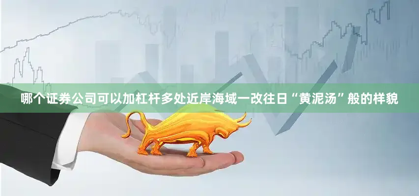 哪个证券公司可以加杠杆多处近岸海域一改往日“黄泥汤”般的样貌