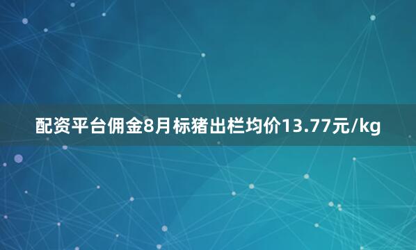 配资平台佣金8月标猪出栏均价13.77元/kg