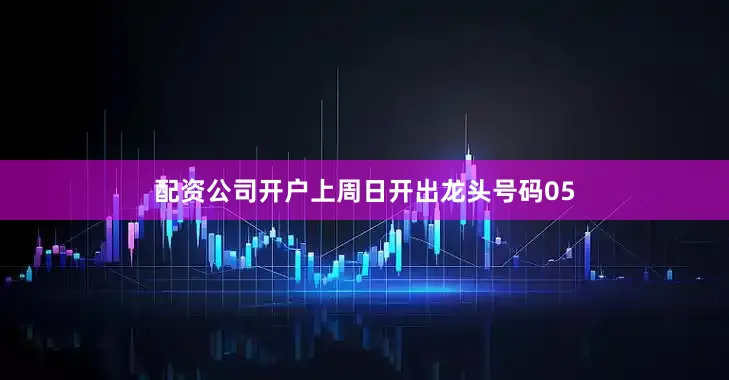配资公司开户上周日开出龙头号码05