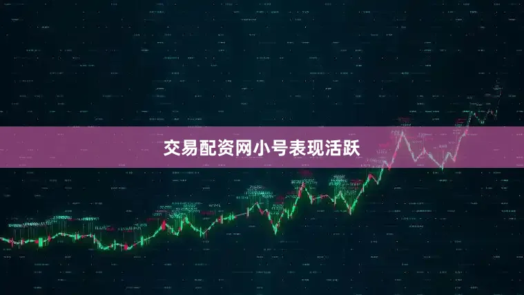 交易配资网小号表现活跃