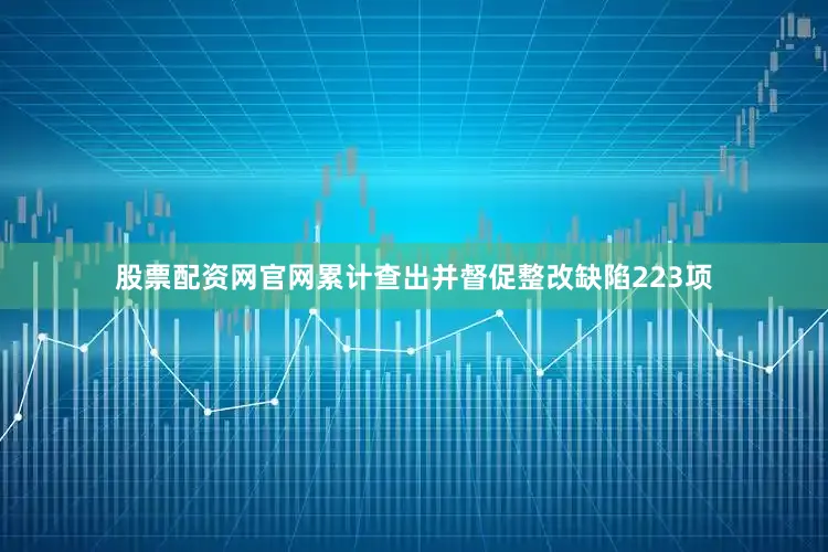 股票配资网官网累计查出并督促整改缺陷223项